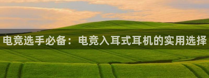 必赢电竞电竞官网入口：电竞选手必备：电竞