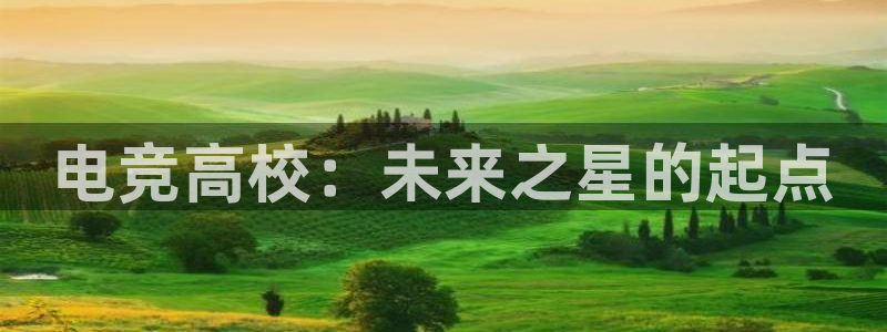 必赢电竞电竞网址：电竞高校：未来之星的起