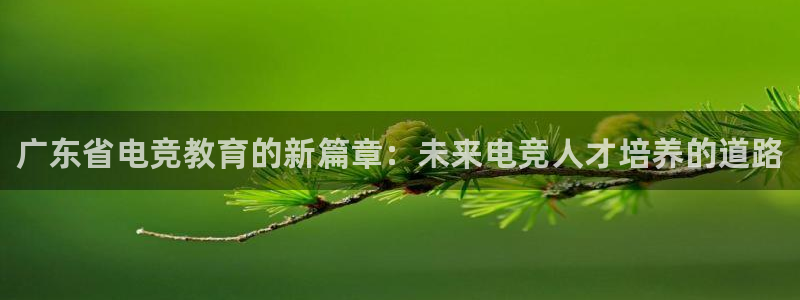 必赢电竞电竞官网app下载入口：广东省电