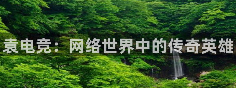 必赢电竞电竞平台app下载：袁电竞：网络