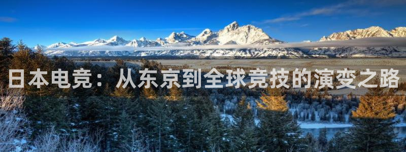 必赢电竞电竞官网注册：日本电竞：从东京到
