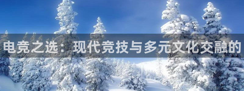 必赢电竞电竞官网平台老手必备的电子画册：电竞之选：现代竞技与多元文化交融的