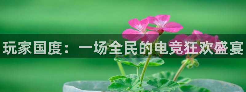 必赢电竞电竞：玩家国度：一场全民的电竞狂欢盛宴