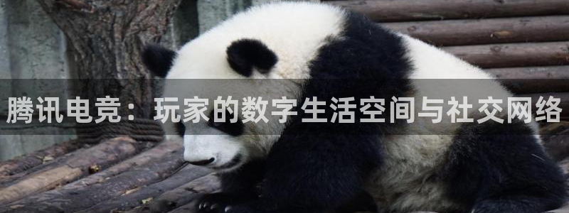 必赢电竞电竞网页：腾讯电竞：玩家的数字生活空间与社交网络