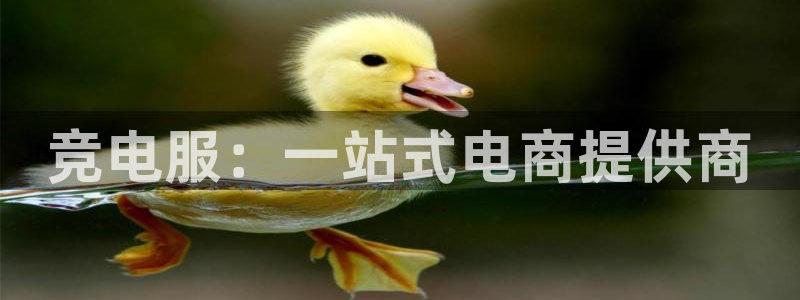 必赢电竞电竞网页：竞电服：一站式电商提供