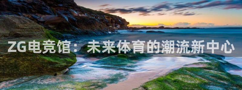 必赢电竞电竞类似