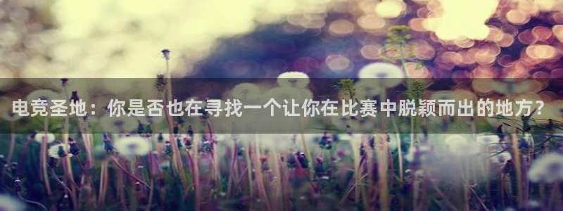 必赢电竞电竞官网A：电竞圣地：你是否也在